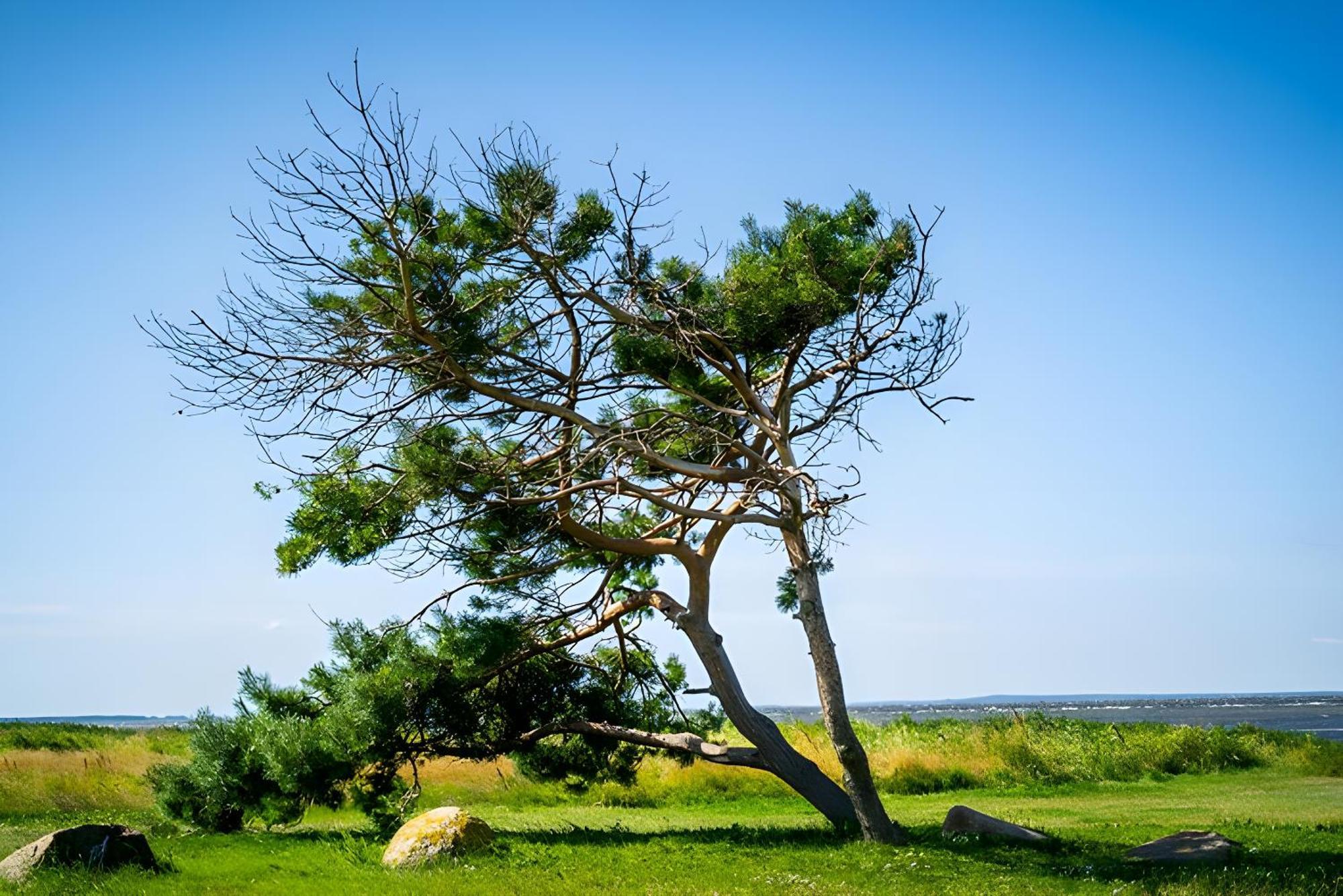 Hotel Ruegenschmiede Vis A Vis Hiddensee Schaprode Luaran gambar